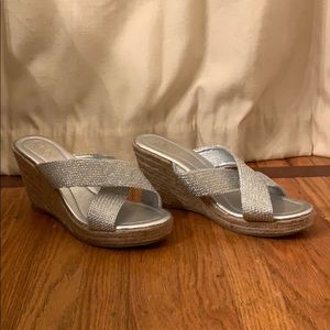 Silver wedges